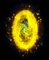 传奇2所有NPC效果代码编号 传奇2所有NPC效果代码编号